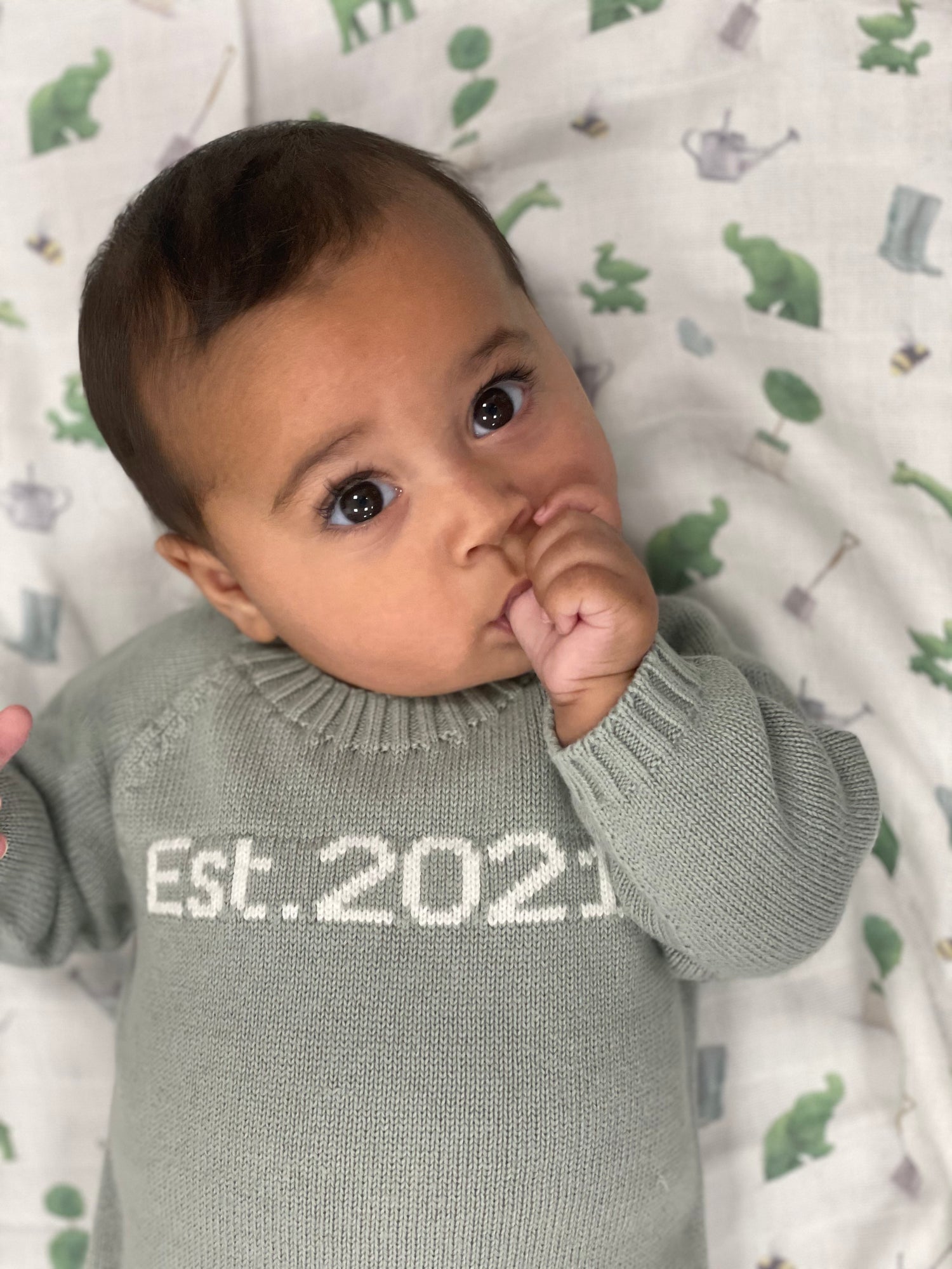 Organic Est. 2024/2025 Jumper