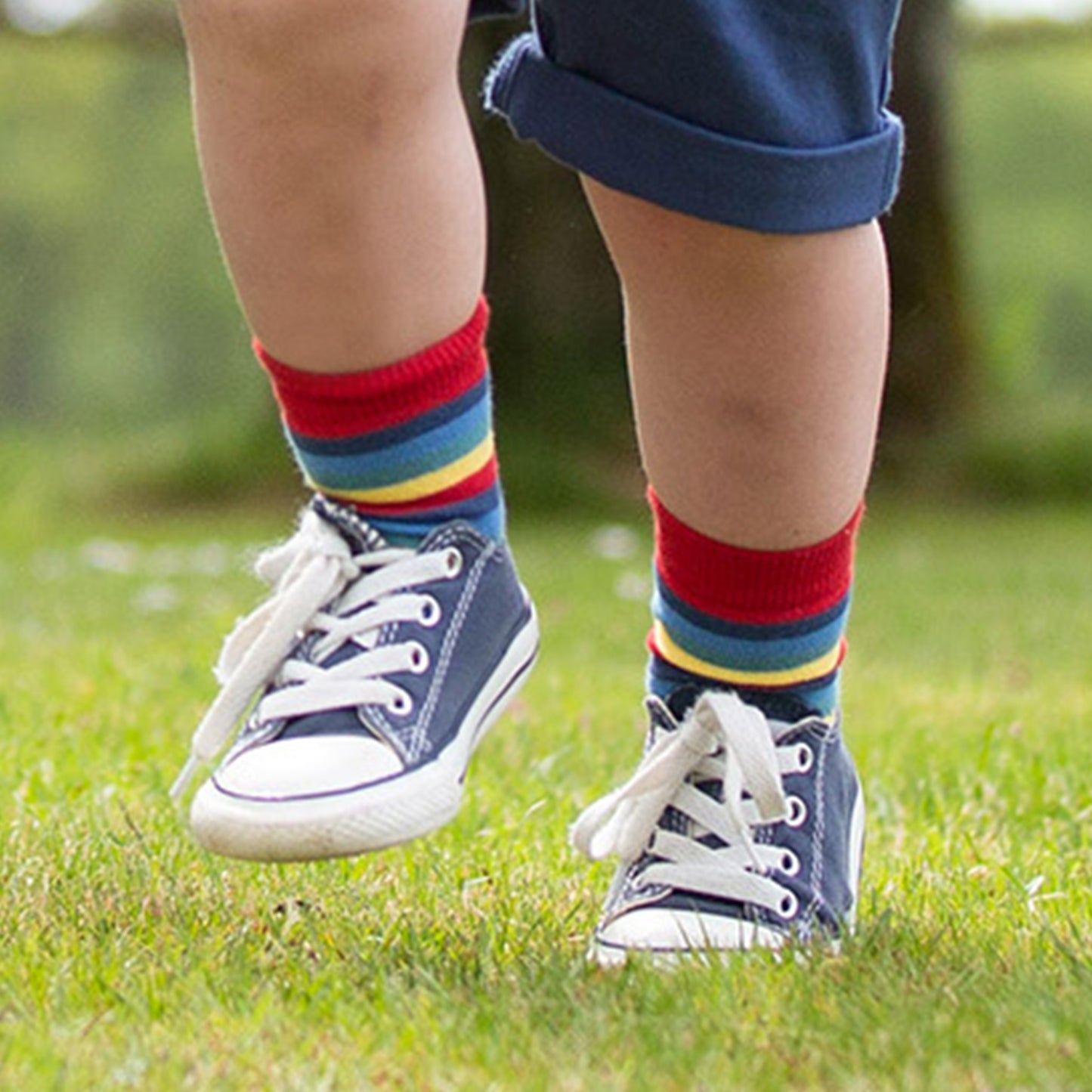 Farm Life Socks - 3 Pack