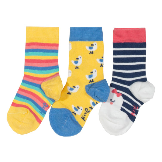 Seagull Socks - 3 Pack