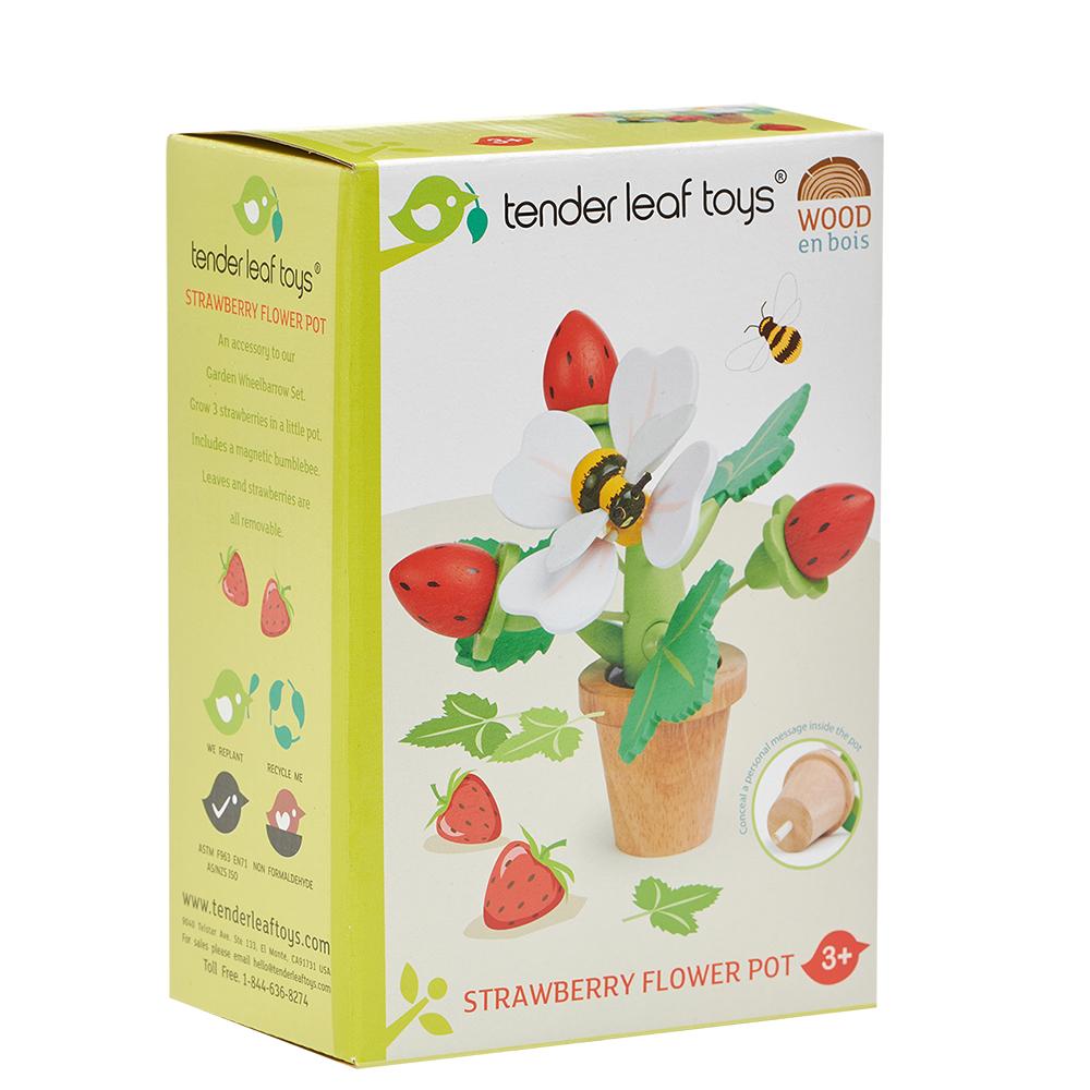 Strawberry Flower Pot