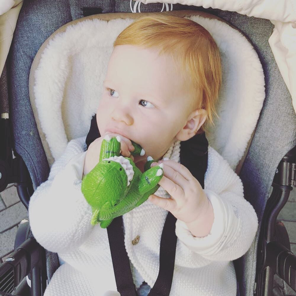 My First T-Rex Teether