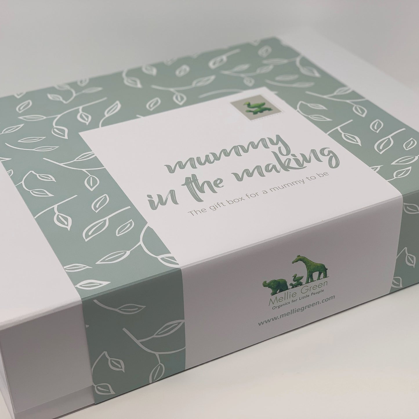 Mummy in the Making - Fill Your Own Gift Box