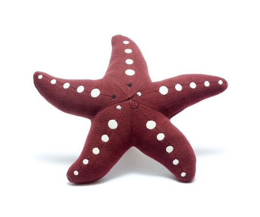 Organic Starfish Soft Toy